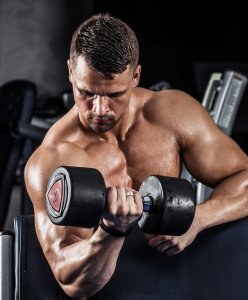 muscle building for strength