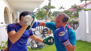 boxing mitts training